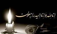 پیام تسلیت معاون آموزشی دانشگاه درپی درگذشت استاد پیشکسوت دکتر میر حسین اردبیلی 